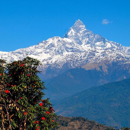Himalayan Deurali Resort Pokhara Buitenkant foto
